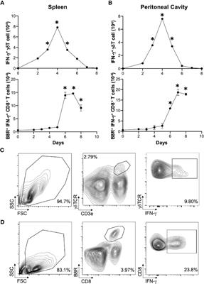 γδT Cells Are Required for CD8+ T Cell Response to Vaccinia Viral Infection